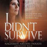 I Didnt Survive, Naghmeh Abedini Panahi
