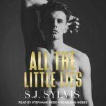 All the Little Lies, S.J. Sylvis