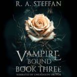 Vampire Bound Book Three, R. A. Steffan
