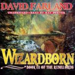 Wizardborn, David Farland