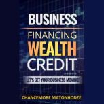 Business Financing, Wealth, Credit, Chancemore Matonhodze