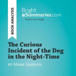 The Curious Incident of the Dog in th..., Bright Summaries