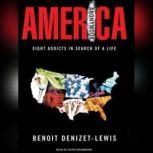 America Anonymous Eight Addicts in Search of a Life, Benoit Denizet-Lewis