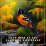 Baltimore Oriole and Other Bird Songs..., Greg Cetus