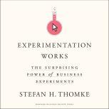 Experimentation Works, Stefan H. Thomke