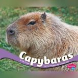 Capybaras, Mary R. Dunn
