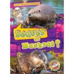 Beaver or Muskrat?, Kirsten Chang