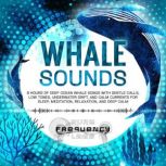 Whale Sounds 8 Hours of Deep Ocean W..., Pure Frequency Labs