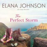The Perfect Storm, Elana Johnson