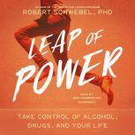 Leap of Power, Robert Schwebel