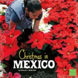 Christmas in Mexico, Cheryl Enderlein