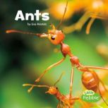 Ants, Lisa J. Amstutz