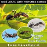 Ants, Isis Gaillard