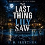 The Last Thing Lily Saw, H. B. Fletcher