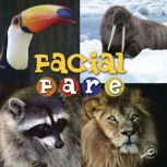 Facial Fare, Lynn Stone