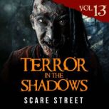 Terror in the Shadows Vol. 13, Scare Street