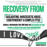 Recovery from Gaslighting, Narcissist..., Andrei Nedelcu