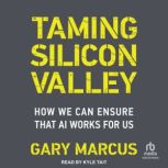 Taming Silicon Valley, Gary Marcus