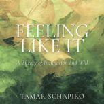 Feeling Like It, Tamar Schapiro