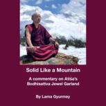 Solid Like a Mountain, Lama Gyurme