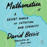 Mathematica, David Bessis