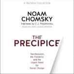 The Precipice Neoliberalism, the Pandemic and the Urgent Need for Social Change, Noam Chomsky