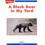 A Black Bear in My Yard, Lynn Murray