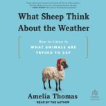 What Sheep Think About the Weather, Amelia Thomas