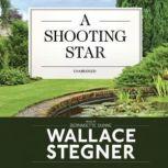 A Shooting Star, Wallace Stegner