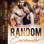 Random Encounter, Allyson Lindt