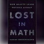 Lost in Math How Beauty Leads Physics Astray, Sabine Hossenfelder