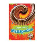 Millipedes, Kari Schuetz