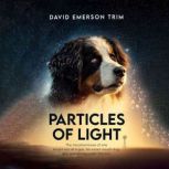 Particles of Light, David Emerson Trim
