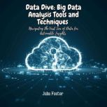 Data Dive Big Data Analysis Tools an..., Julia Foster