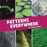 Patterns Everywhere, Lisa Varchol Perron