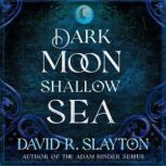 Dark Moon, Shallow Sea, David R. Slayton