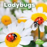 Ladybugs, Lisa Amstutz