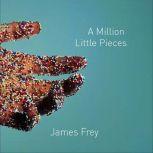 A Million Little Pieces, James Frey