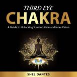 Third Eye Chakra, Shel Dantes