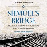 Shmuels Bridge, Jason Sommer