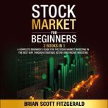 Stock Market for Beginners, Brian Scott Fitzgerald