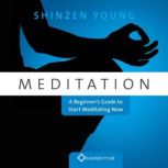 Meditation, Shinzen Young