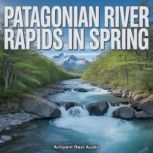 Patagonian River Rapids in Spring, Ambient Rest Audio