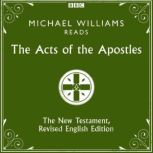 The Acts of the Apostles, Various
