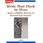 Birds That Flock to Fires, Sneed Collard III