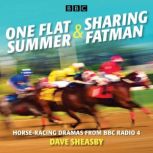 One Flat Summer  Sharing Fatman, Dave Sheasby
