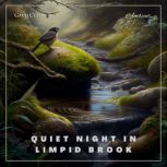 Quiet Night In Limpid Brook, Greg Cetus