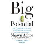 Big Potential How Transforming the Pursuit of Success Raises Our Achievement, Happiness, and Well-Being, Shawn Achor