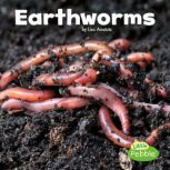 Earthworms, Lisa Amstutz