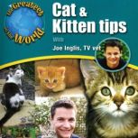 Cat  Kitten Tips, Joe Inglis